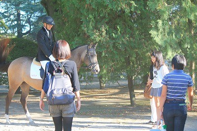 馬術競技会二日目