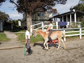 乗馬は感動健康成長