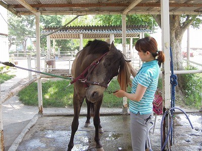 馬と気持ちをあわせて