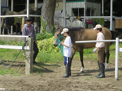 馬とグランドワーク