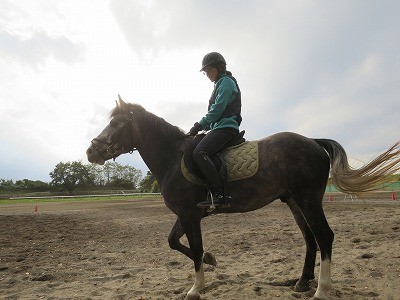 愛馬と共に