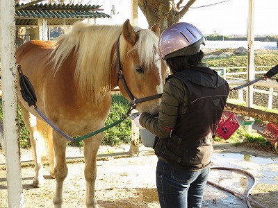 馬とのふれあいと乗馬を満喫