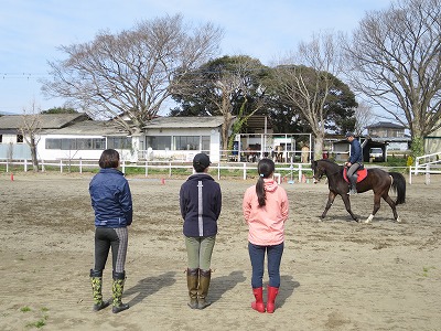 素敵な乗馬体験