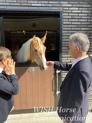 全日本馬場馬術大会