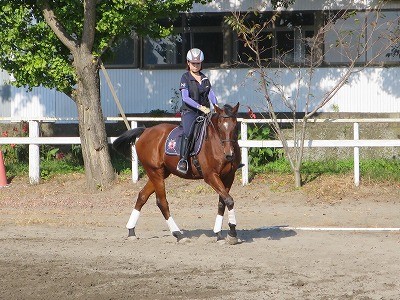馬の内方姿勢