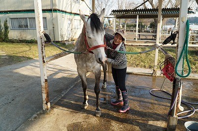 馬が喜ぶ乗馬