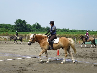 馬との対話を大切にするクラブ