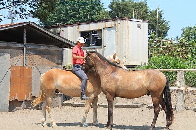 馬とのコミュニケーション