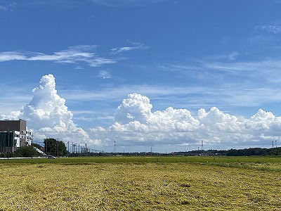 夏と秋の風景
