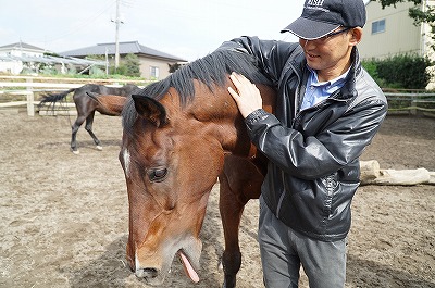 ウィッシュホースコミュニケーションズの馬の扱い方