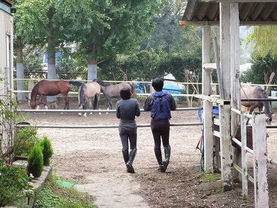乗馬ですごす馬との一日