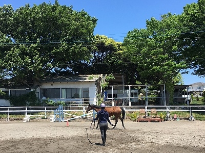 ホースコミュニケーションの練習