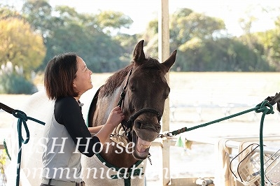 喜ぶ馬