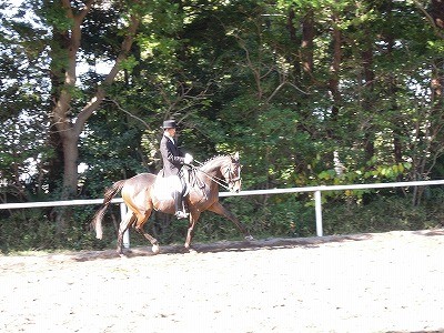 馬術競技に向けて準備運動