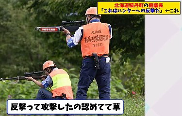 馬　反抗