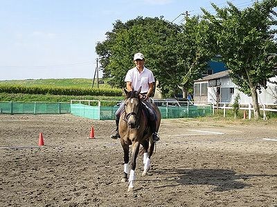 馬と楽しい時間を