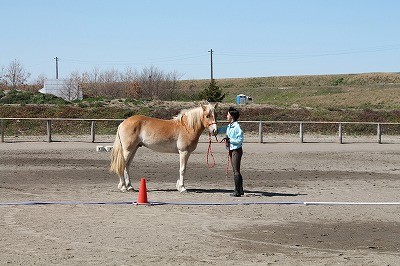 馬を愛するということ