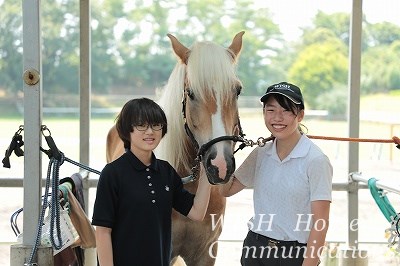 乗馬を体験