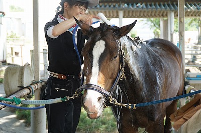 うっとり手入れ