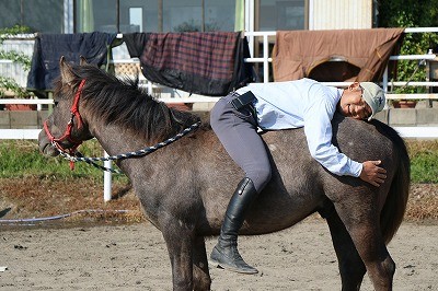 馬が好き好き