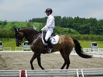 全日本馬場馬術大会