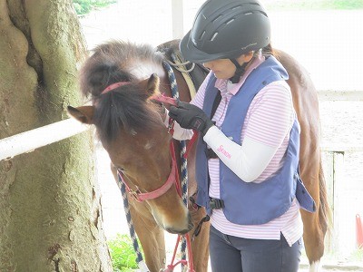 新馬調教　馬に愛されていると教える