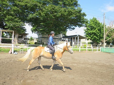 自分で考えて乗る