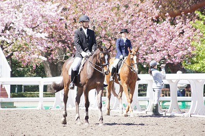 馬術競技会の時の写真