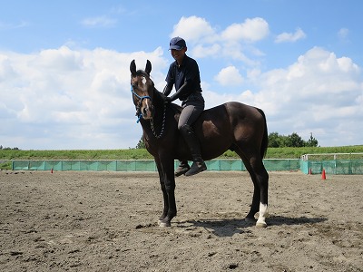 幸せな乗馬経験