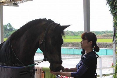 馬との優しい心のふれあい