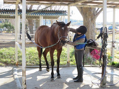 乗馬は自己表現