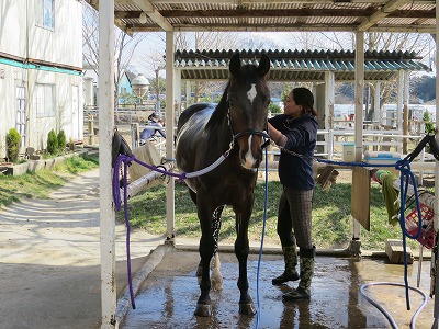 素敵な乗馬体験