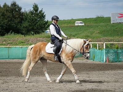 馬を消費する乗馬？馬を育てる乗馬？