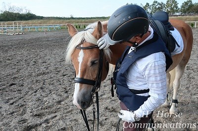 愛情乗馬