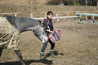 馬と楽しいコミュニケーション