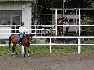乗馬日和