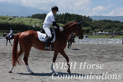 全日本馬場馬術大会