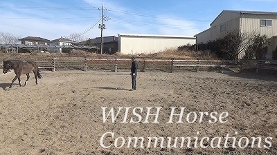 調馬索の音声
