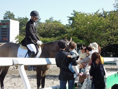 馬術競技会二日目