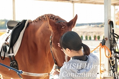 愛情乗馬