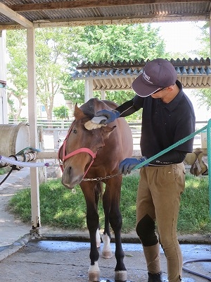 馬の心をくみ取る