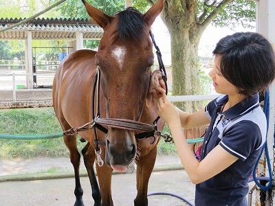 乗馬の知識と実感