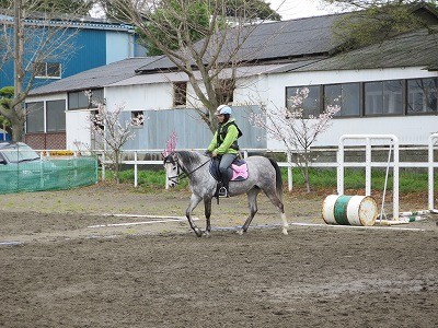 馬と真剣に付き合うから楽しい