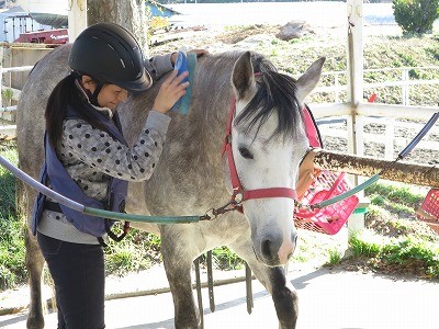 馬と素敵な絆を結ぶ