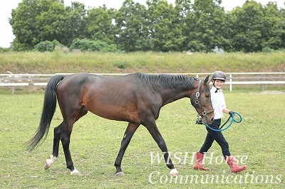 上手な引き馬