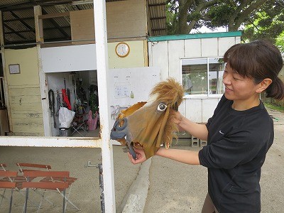 元気で人なつこい馬