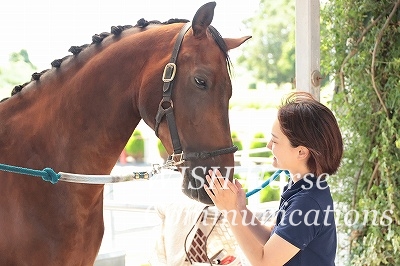 馬に優しい乗馬