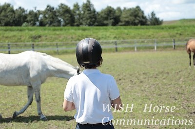 馬とお話しする乗馬