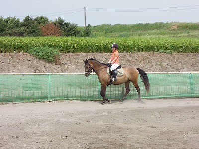 乗馬で風になる