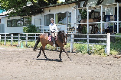 乗馬は楽しいですよ